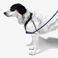 Zee.Dog Soft Walk Harness -Heimtierbedarf Geschäft zeedog soft walk harness 200684 0500 none