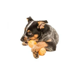 Zogoflex Qwizl -Heimtierbedarf Geschäft zogoflex qwizl 136852 0500 none