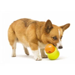 Zogoflex Toppl - Treat Toy 17 Zogoflex Toppl - Treat Toy -Heimtierbedarf Geschäft zogoflex toppl treat toy 219464 0500 none